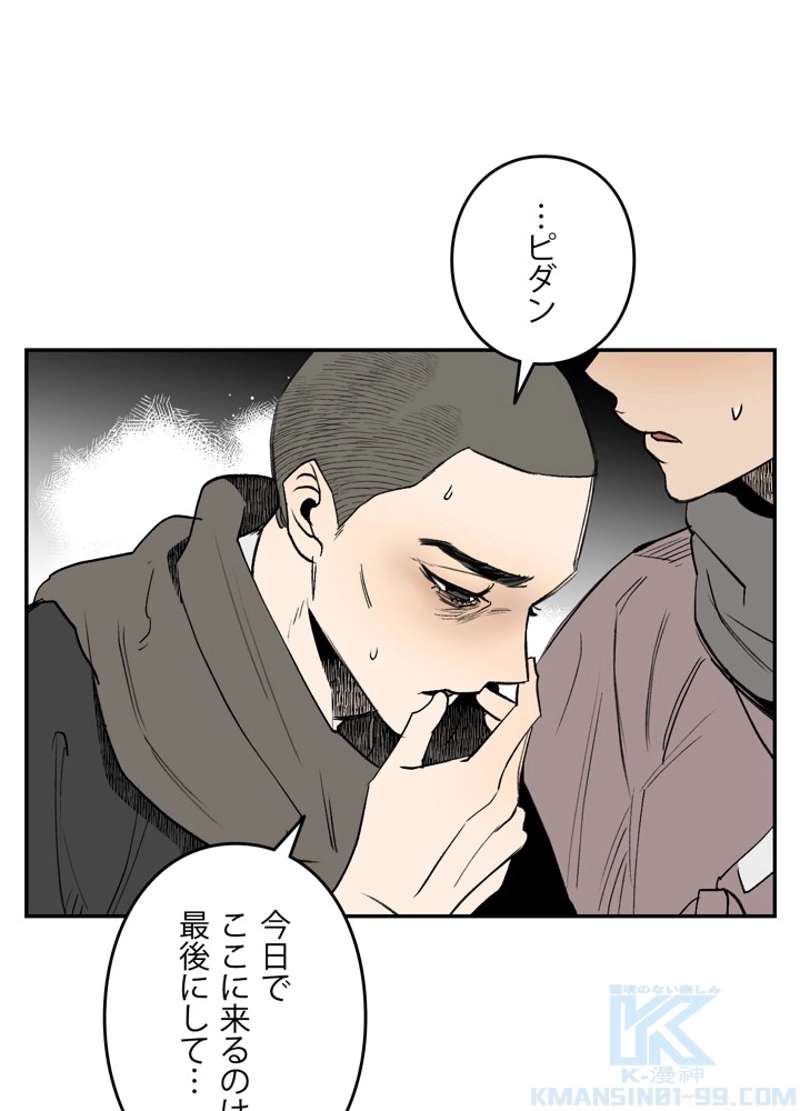 P61