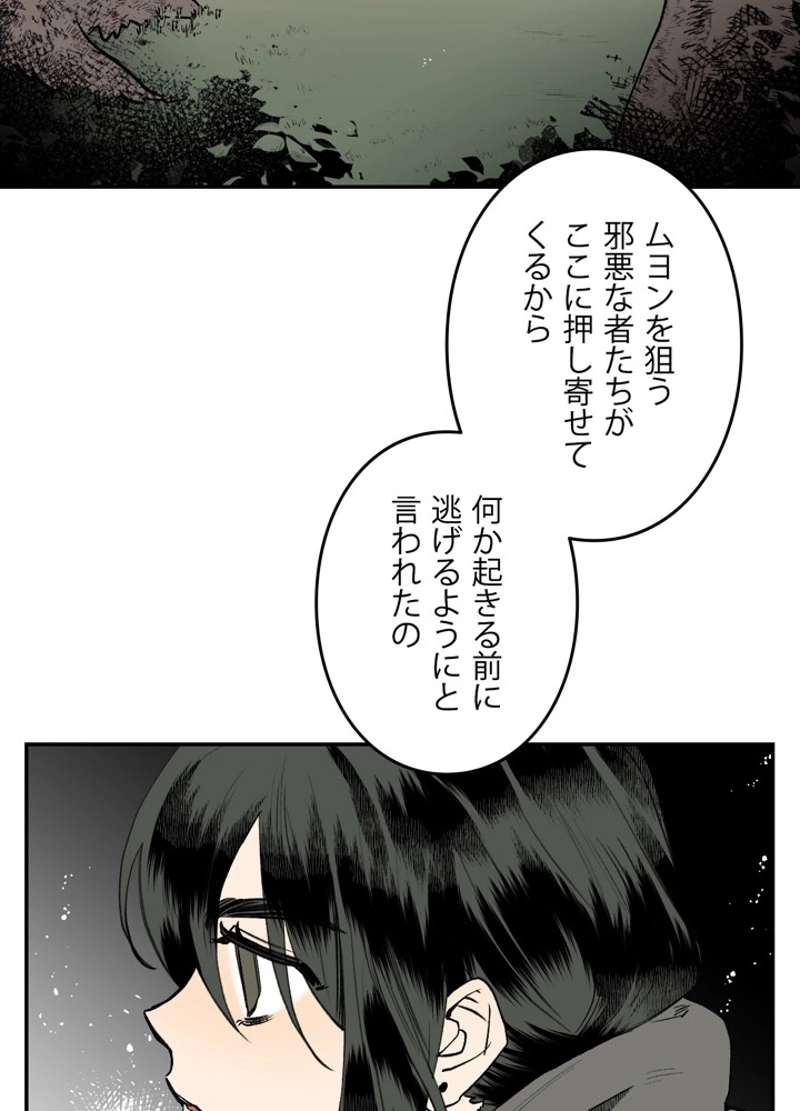 P66