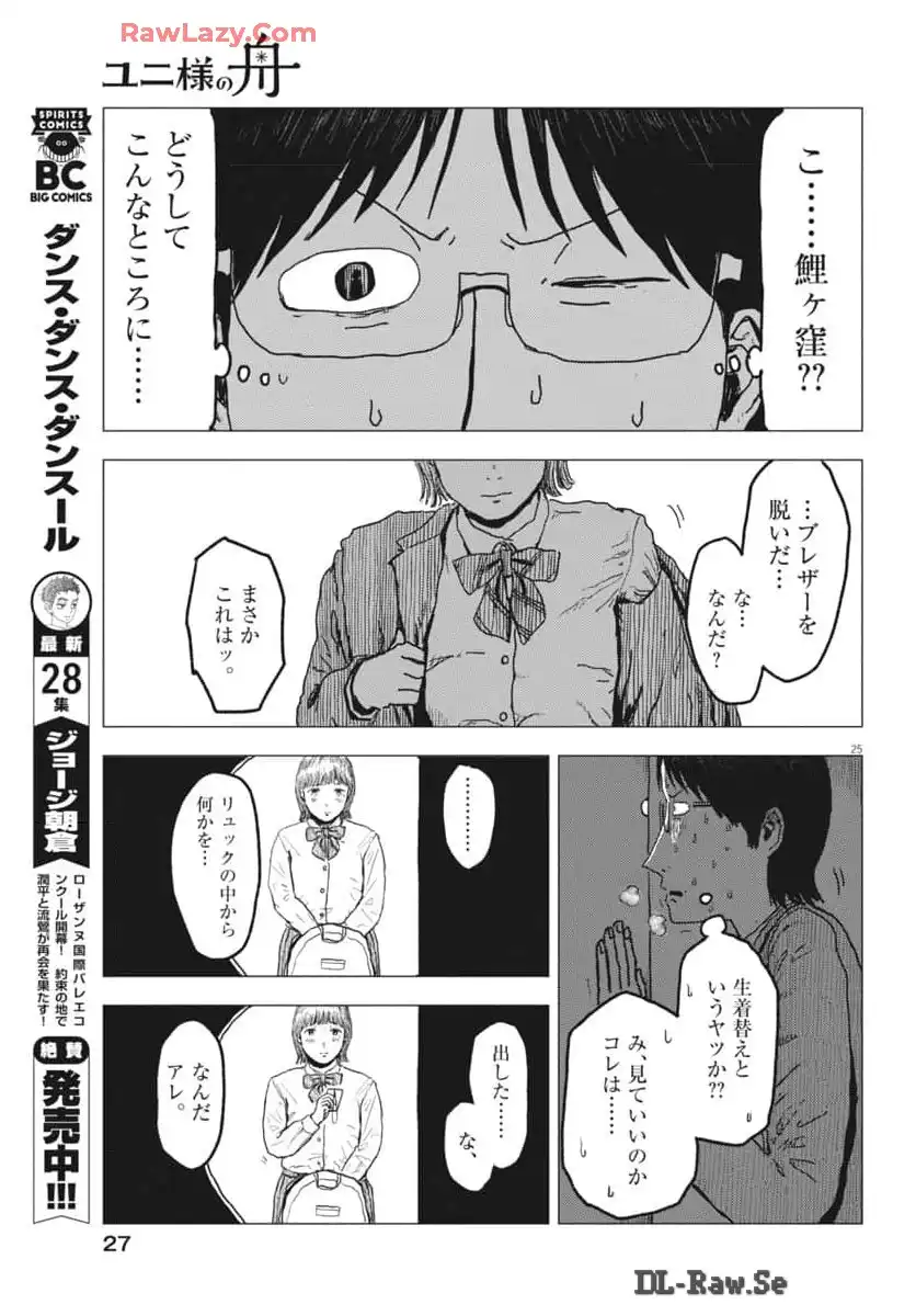 P26