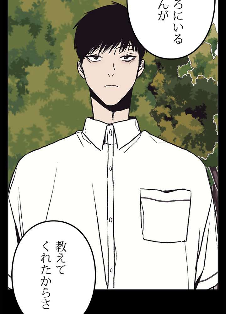 P63