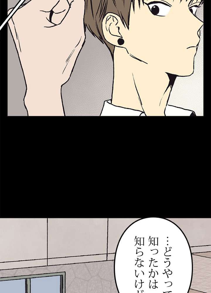 P65