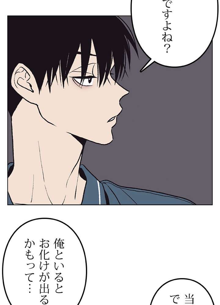 P53