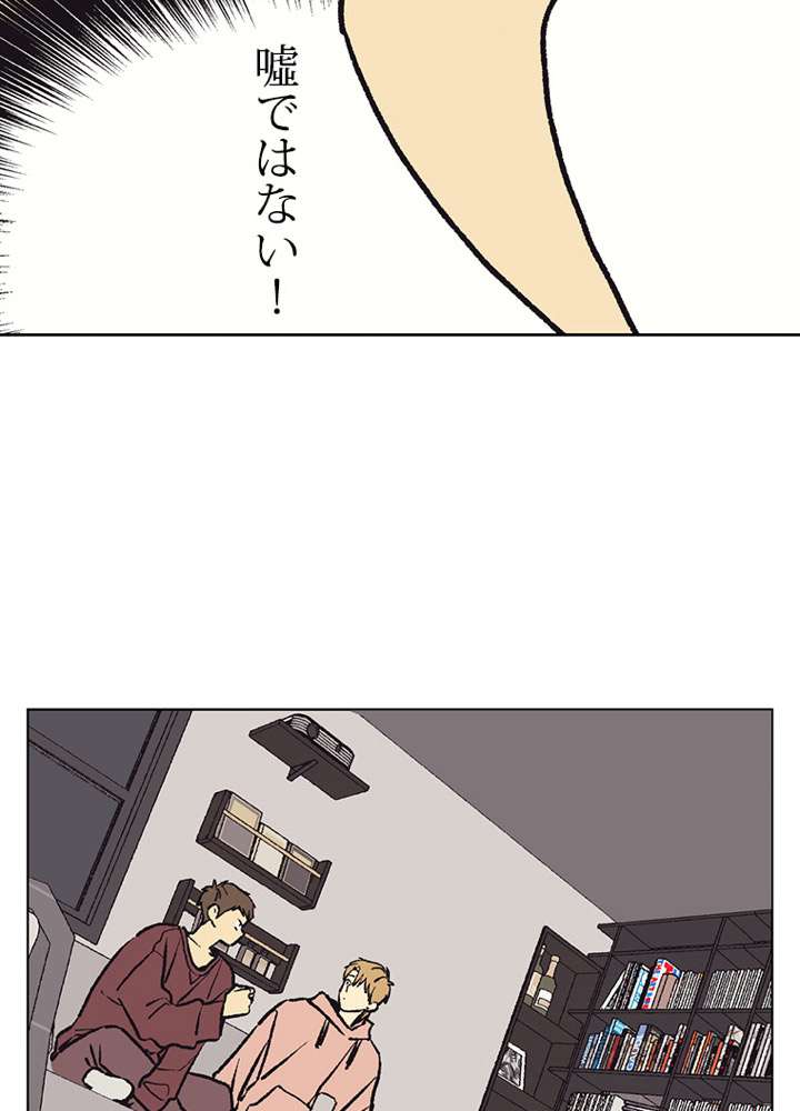P48