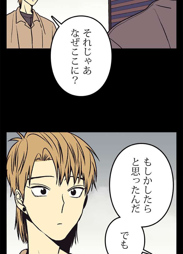 P53