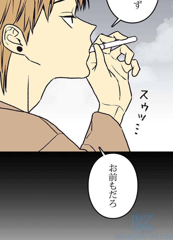 P61
