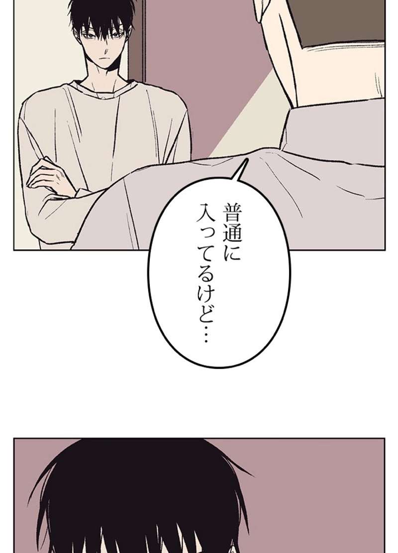 P41