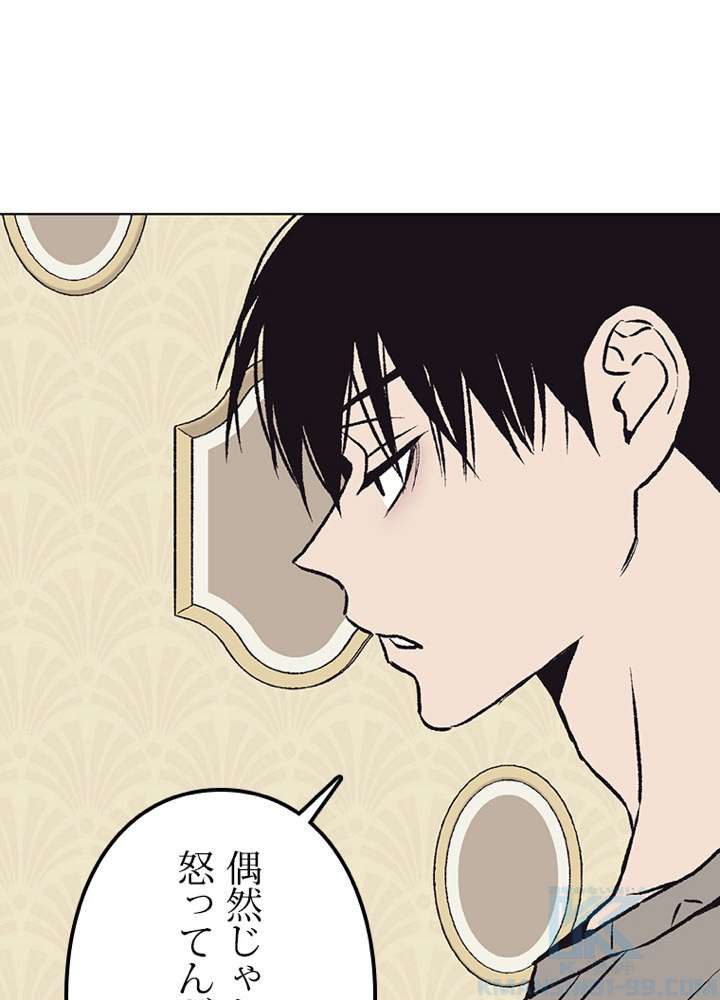 P61