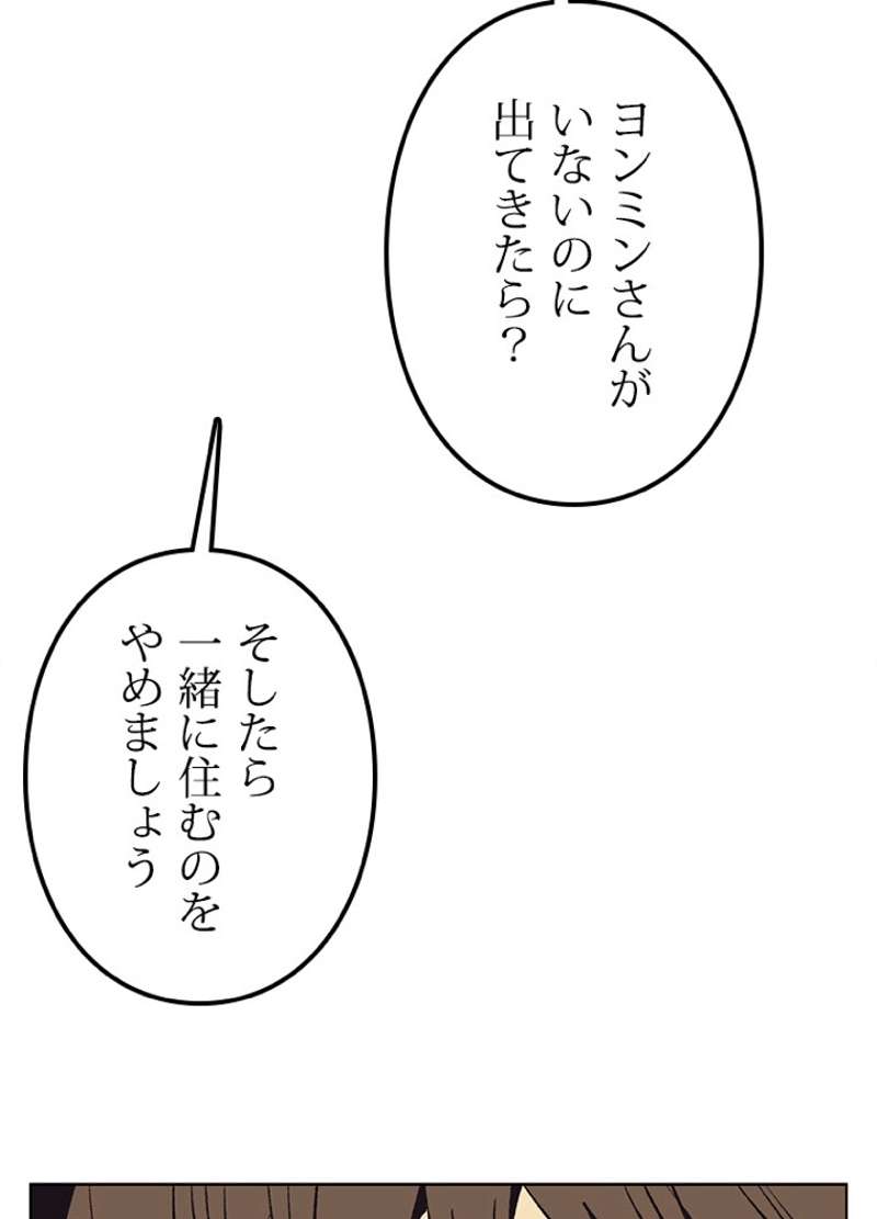 P41