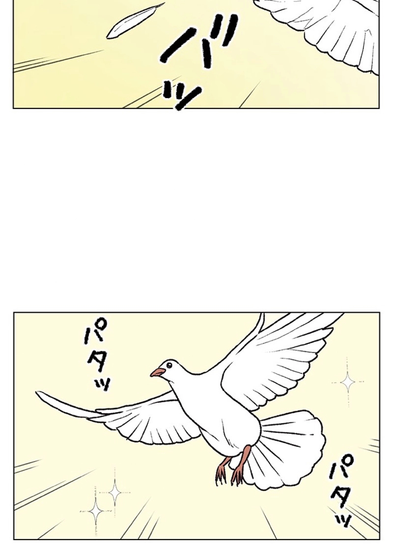 P56