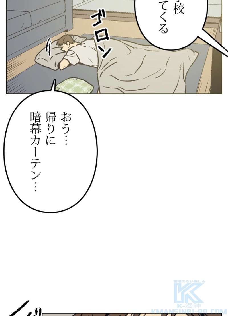P64