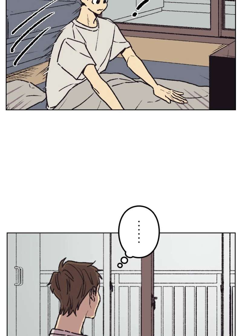 P66