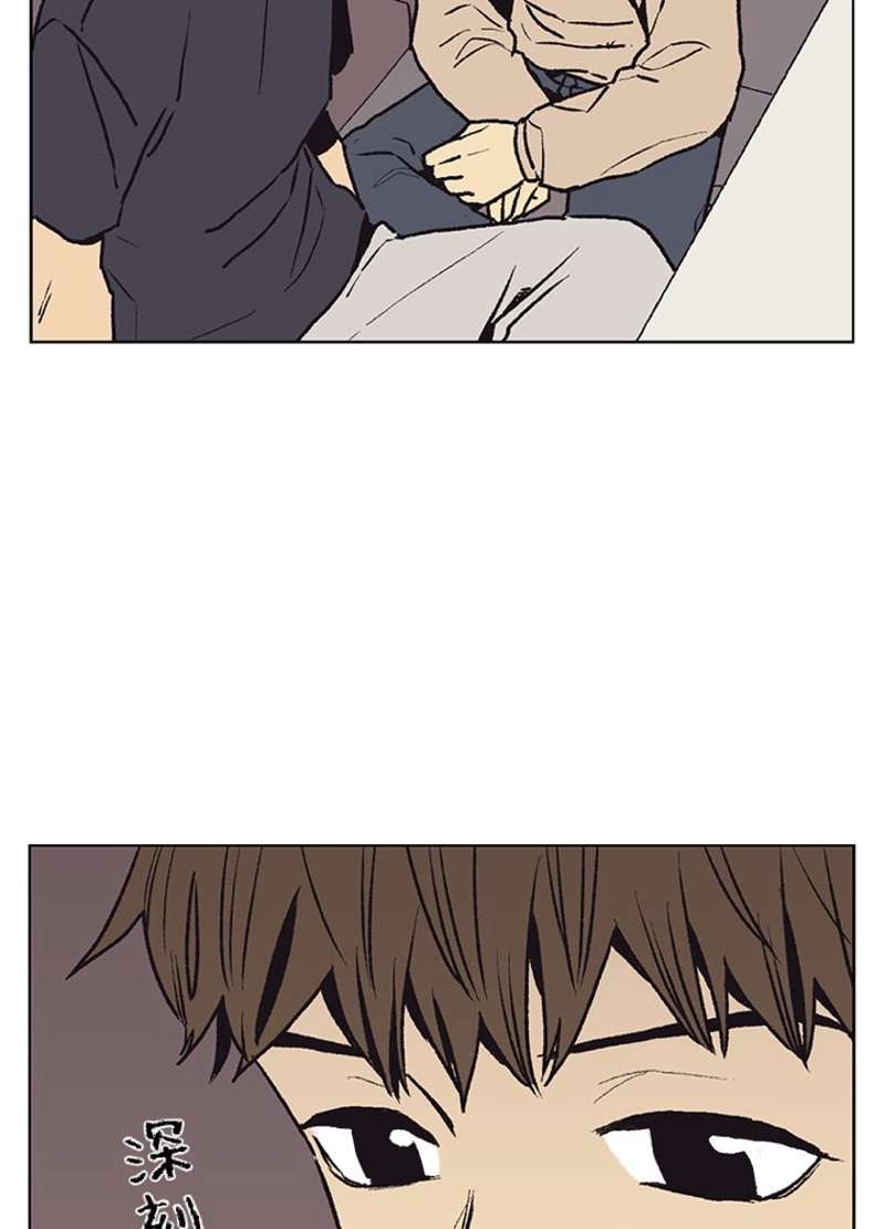 P66