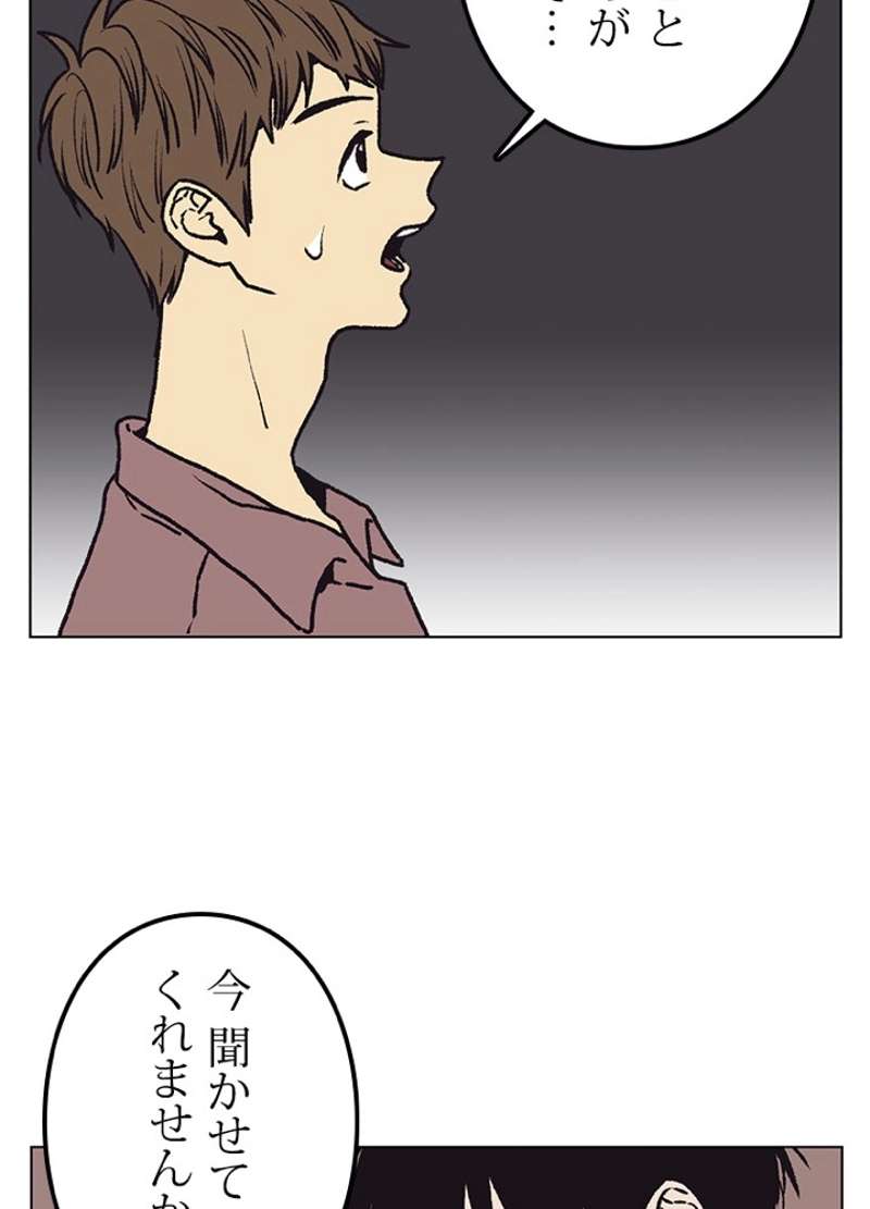 P53