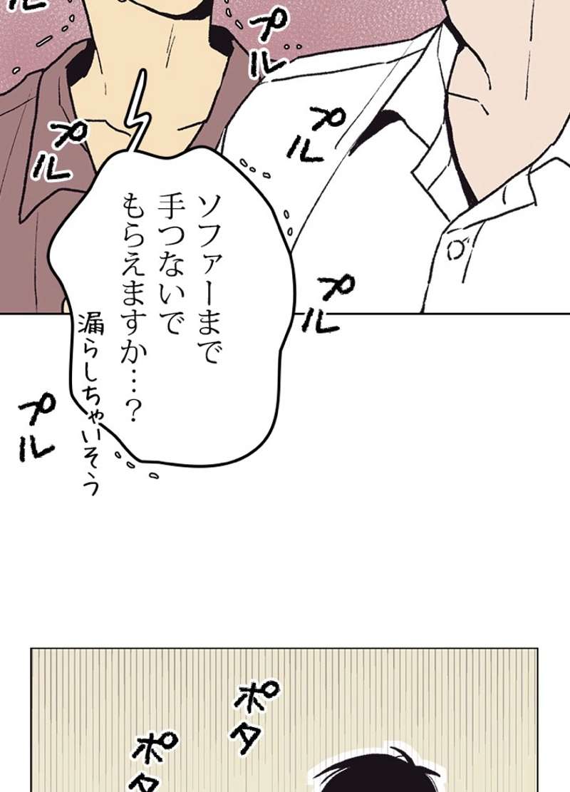 P66