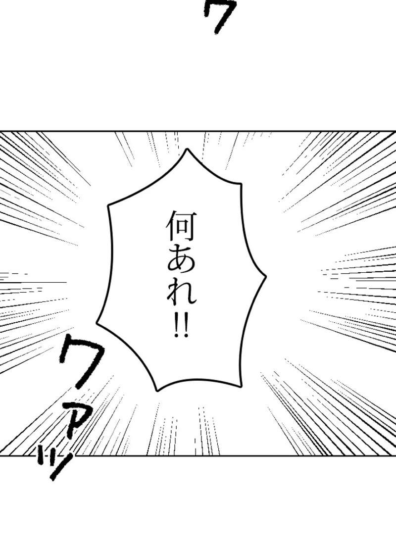 P63
