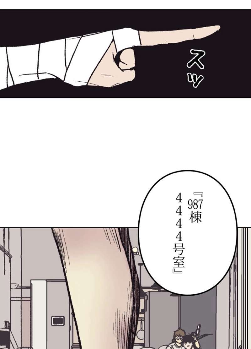 P66