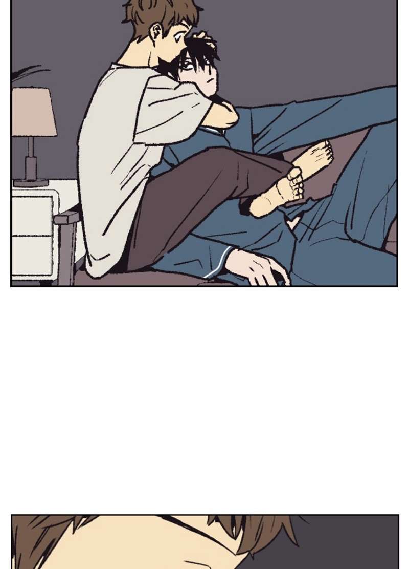 P68