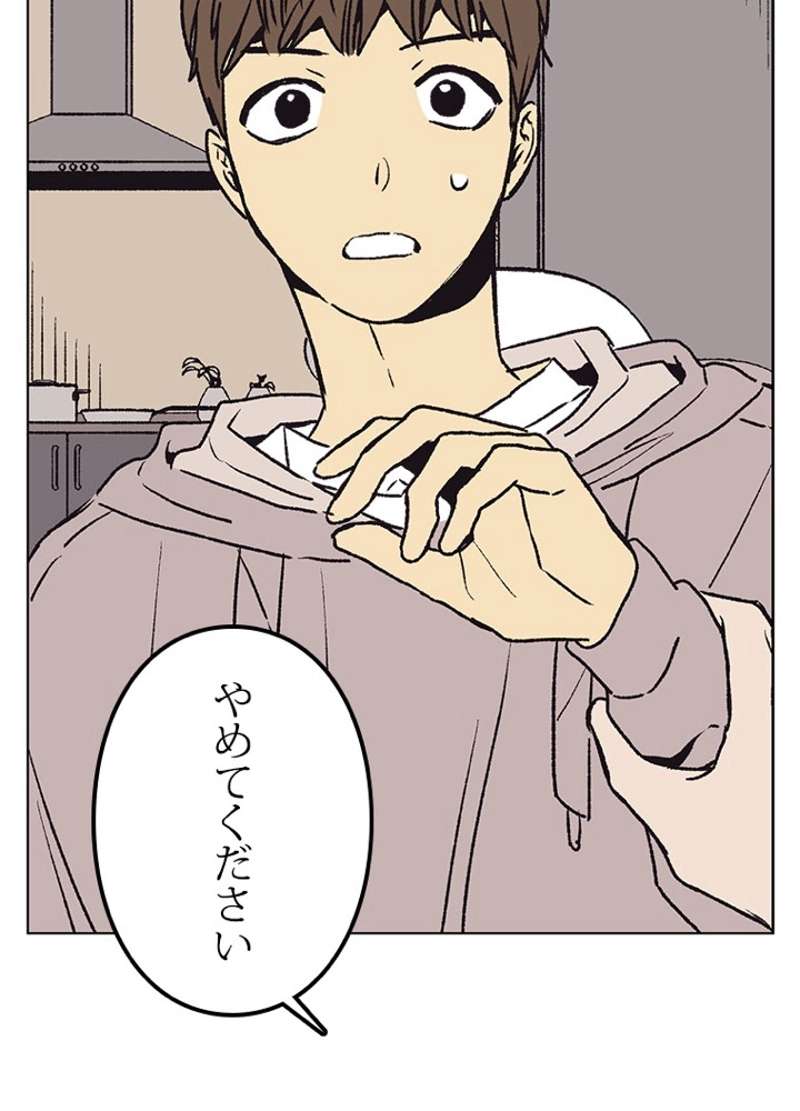 P53