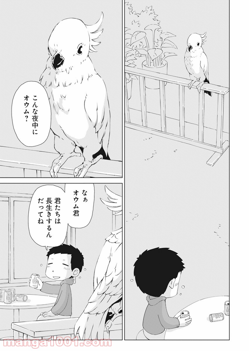 P20