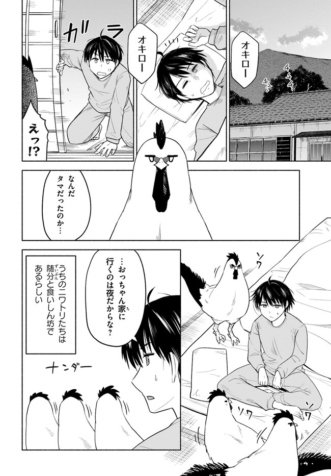 P14