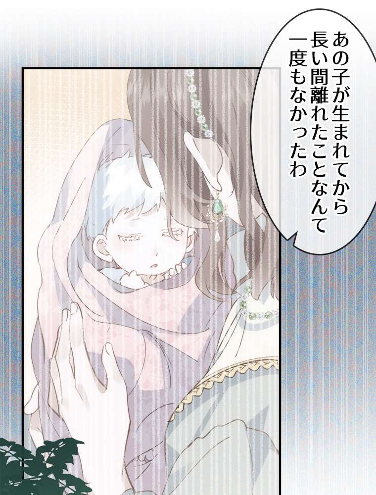 P66