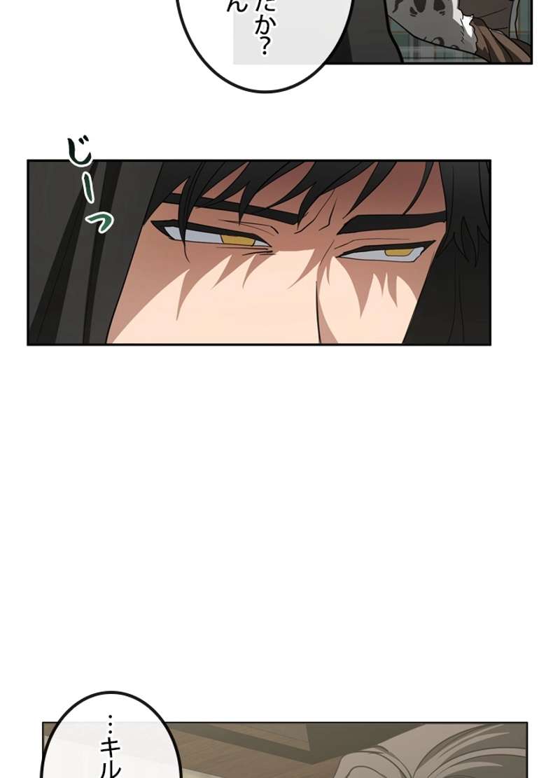 P44