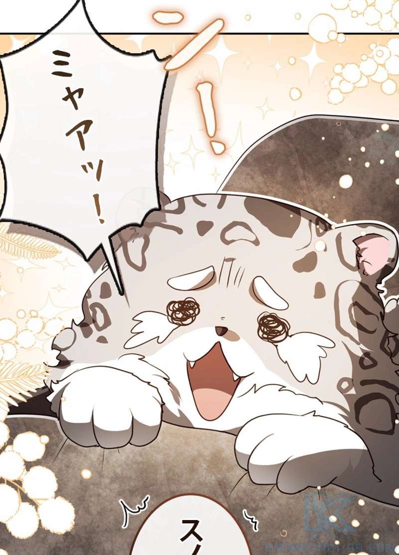 P79