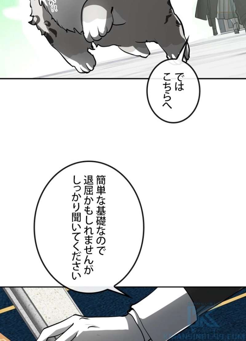P46