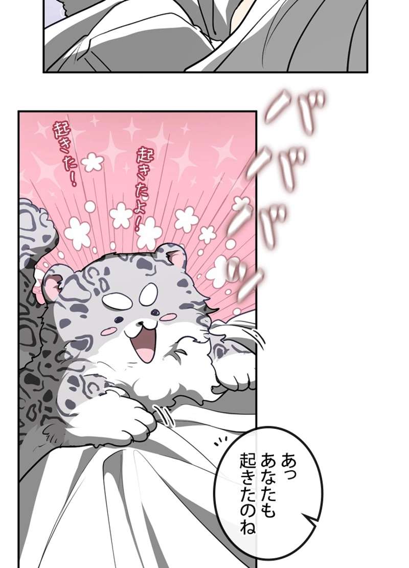 P68