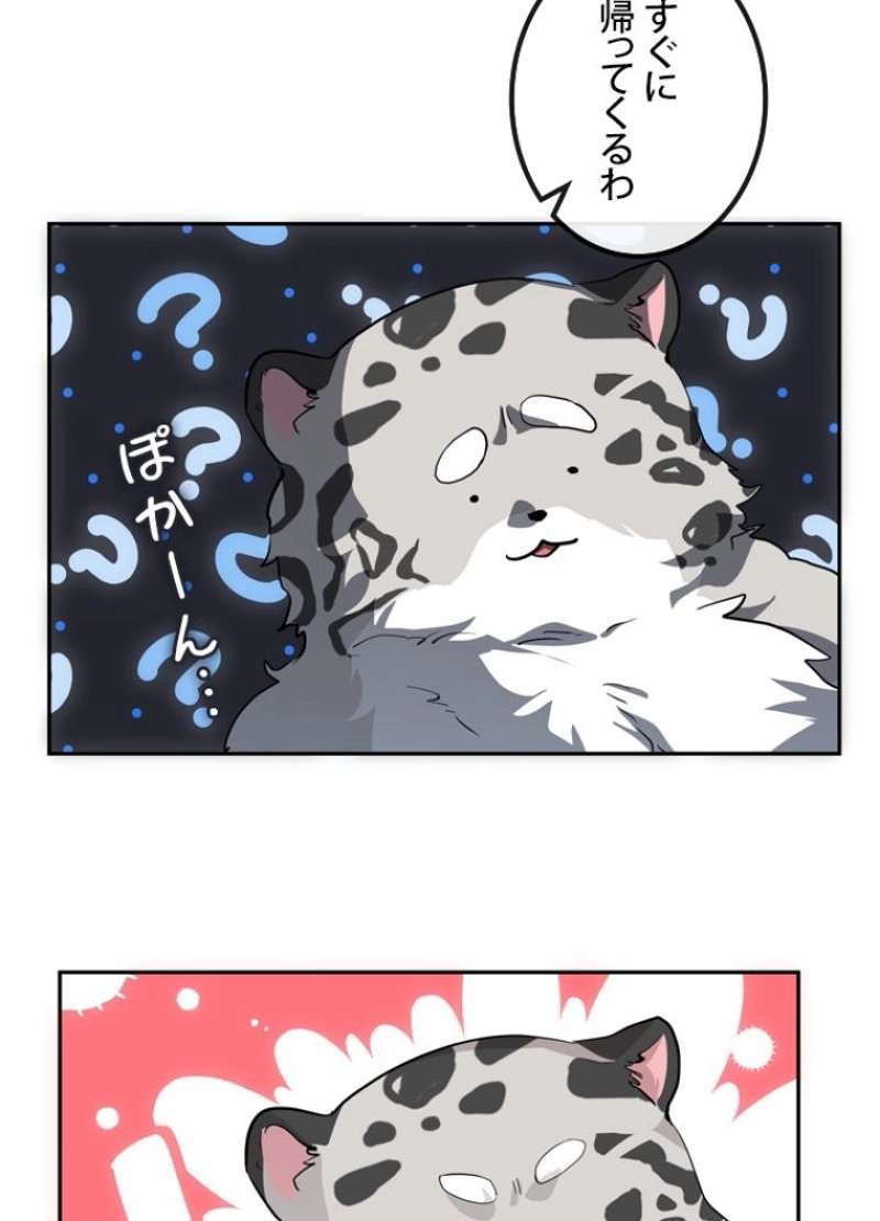P68