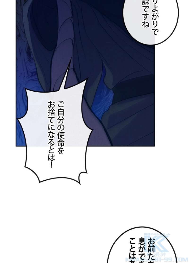 P61