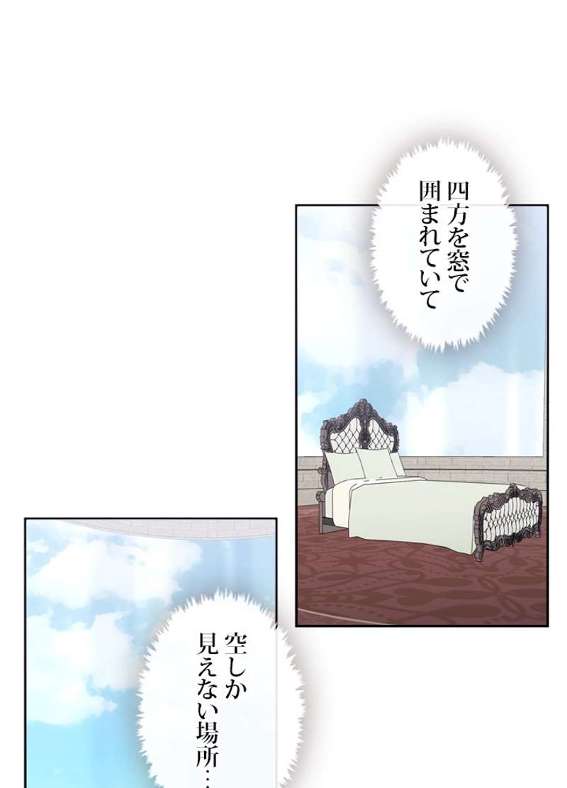 P63