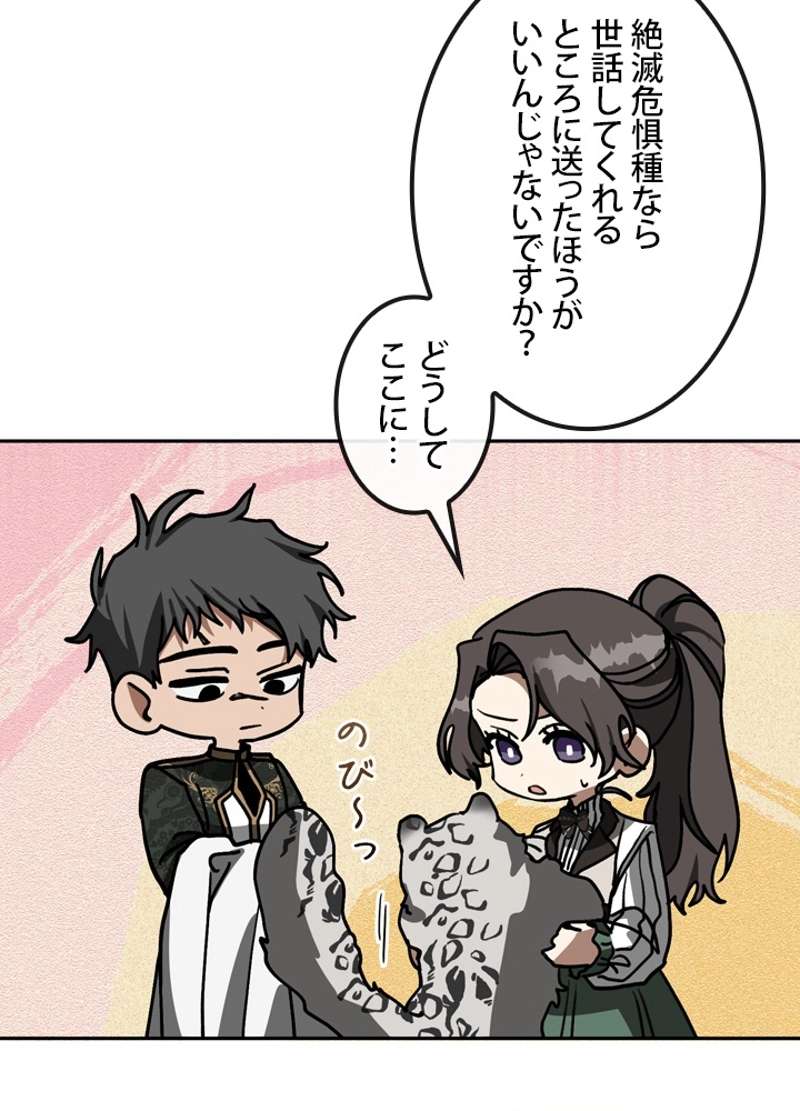 P81