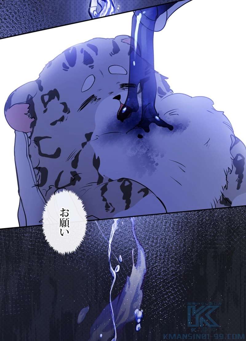 P58