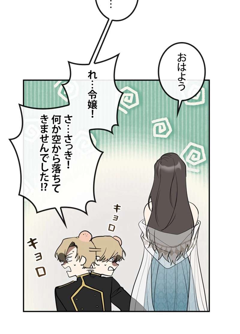 P65
