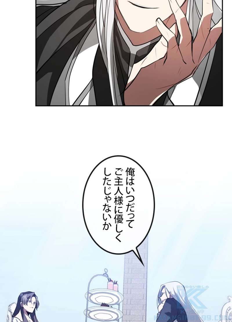 P53