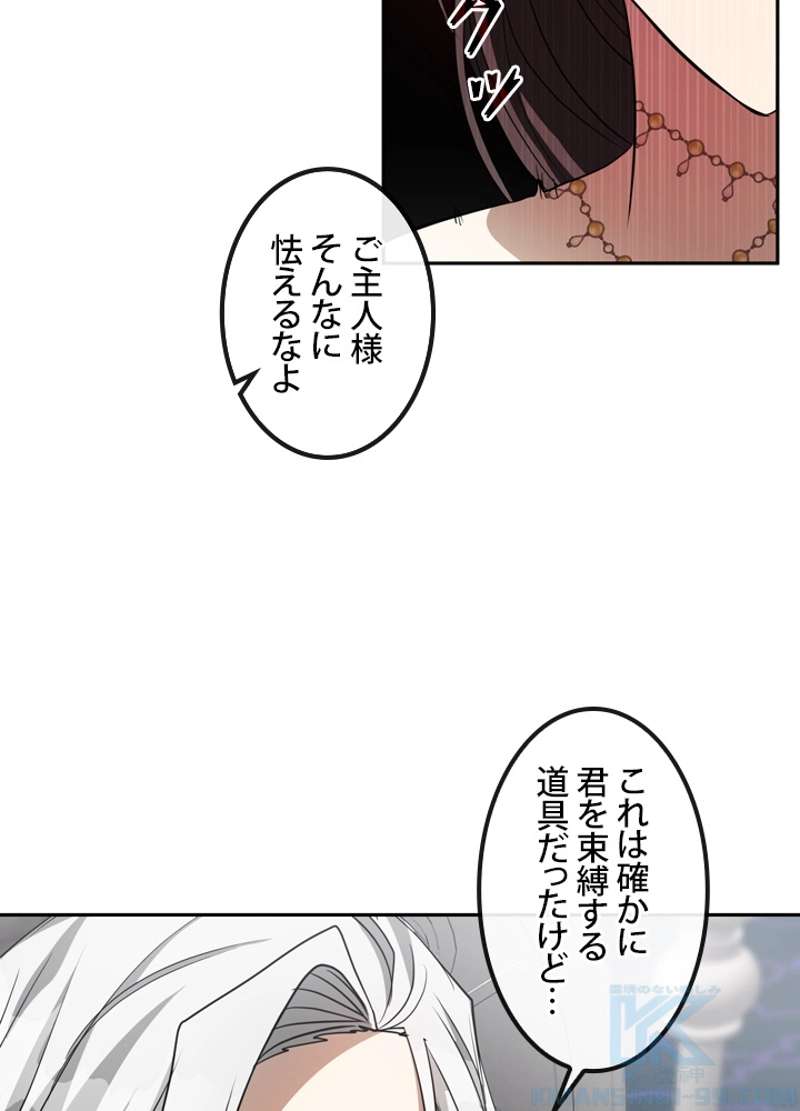 P65