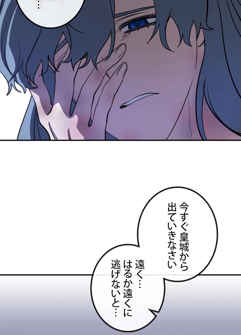 P41
