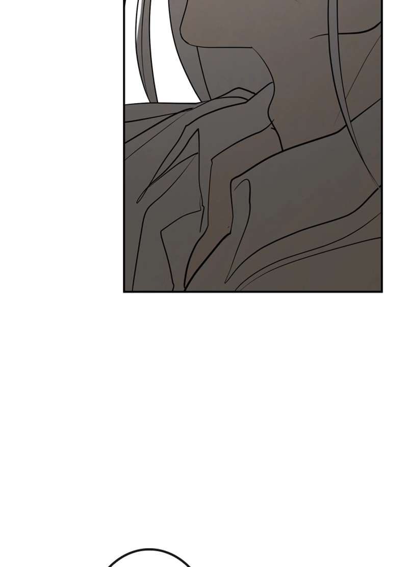 P66