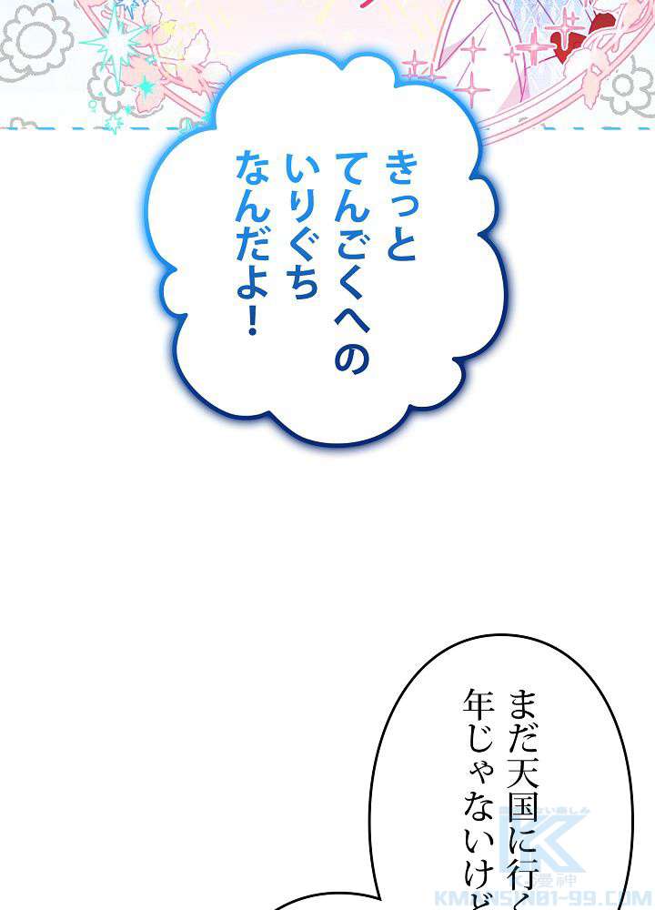 P61
