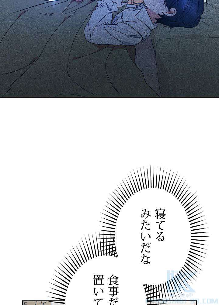 P58