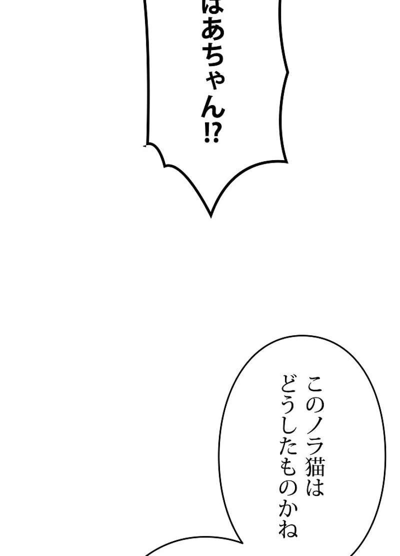 P63