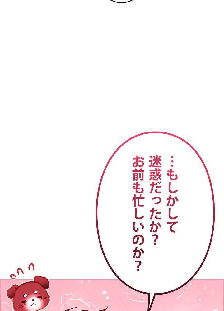 P65