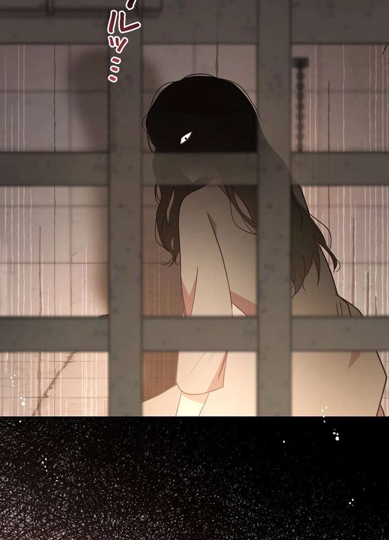 P104