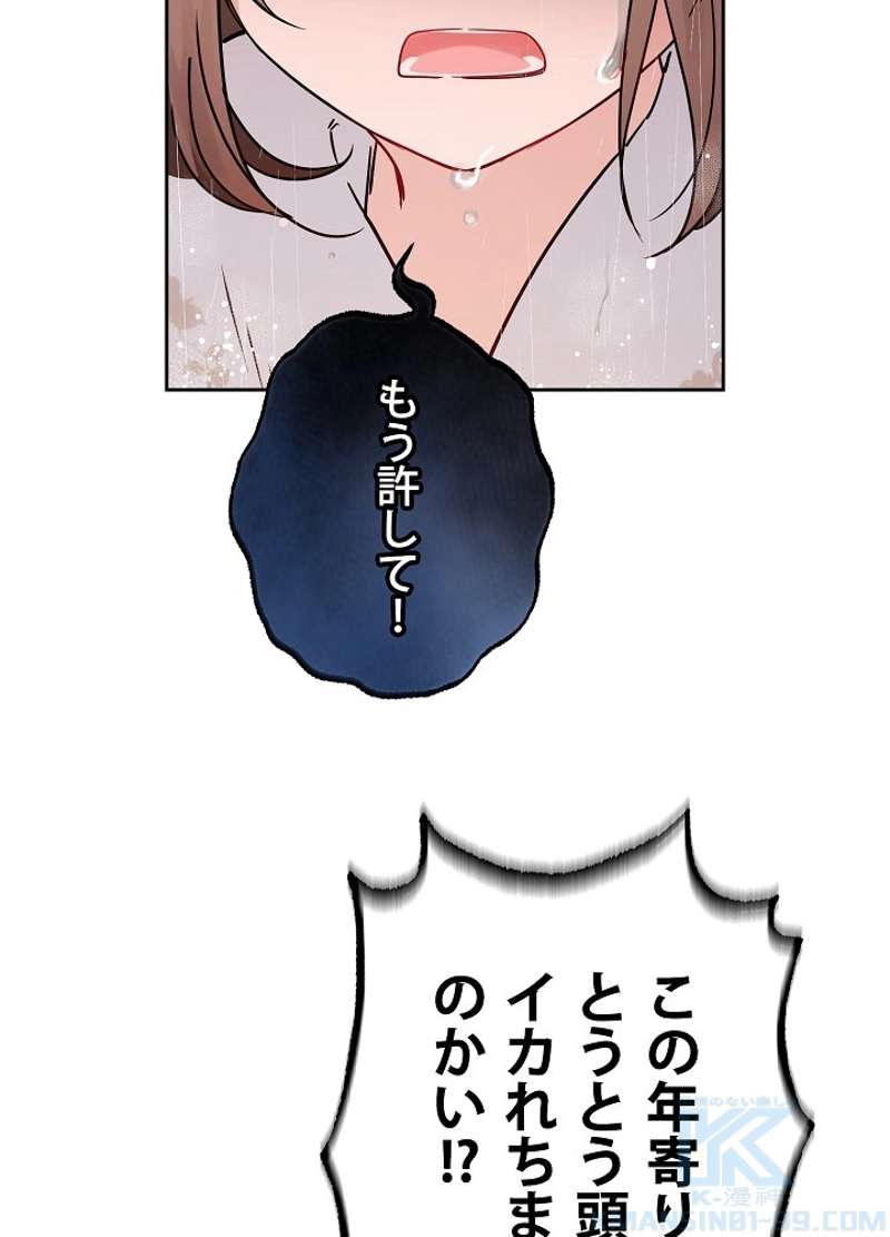 P58