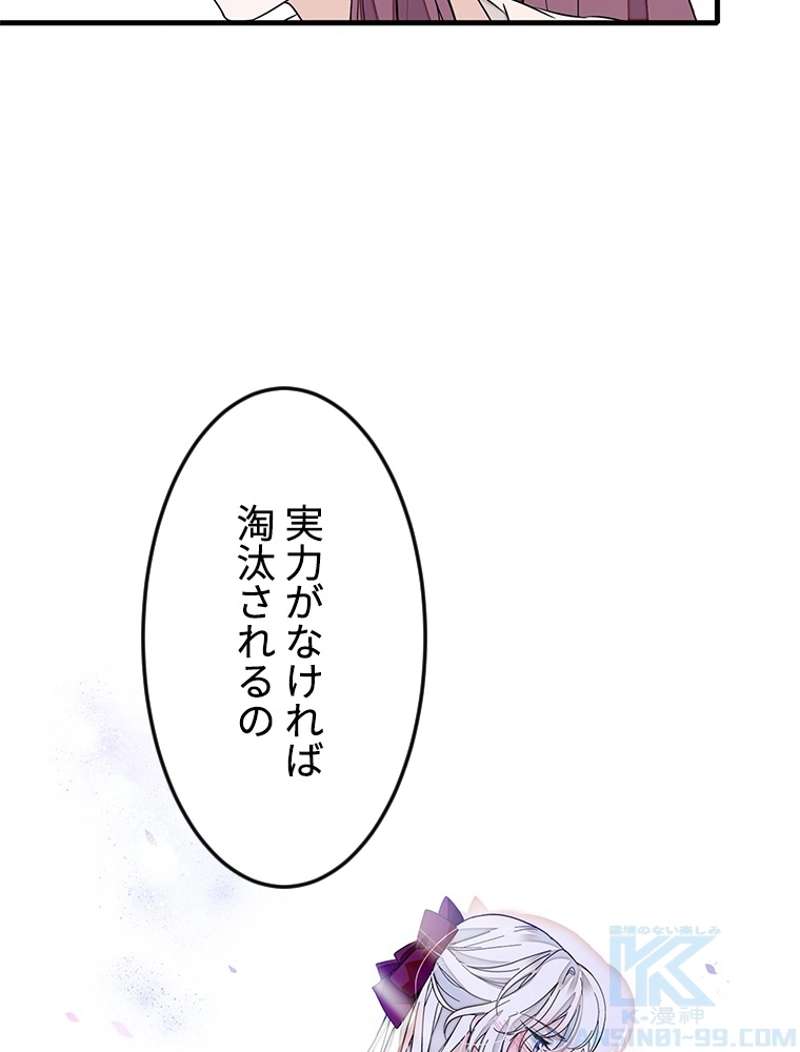 P61