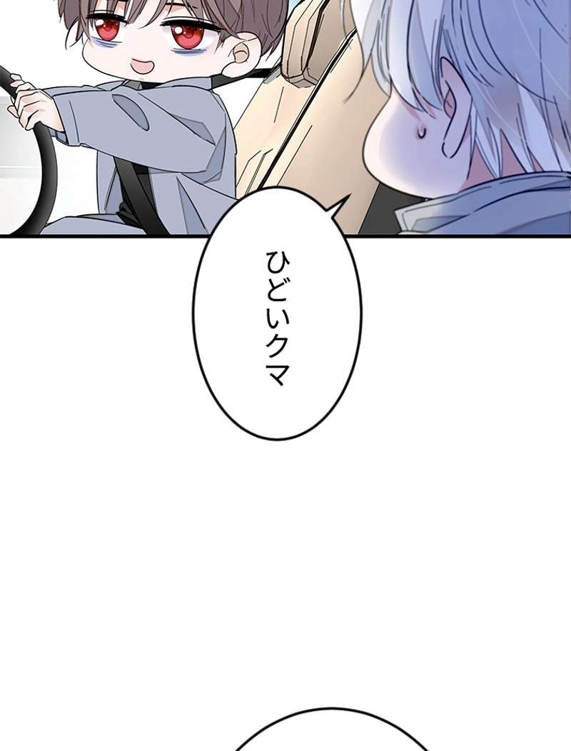 P53