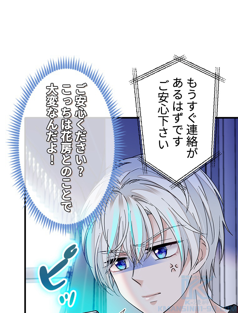 P64