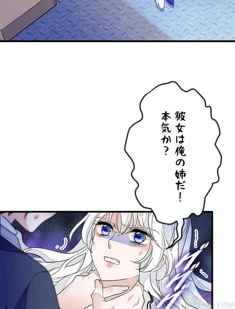 P58