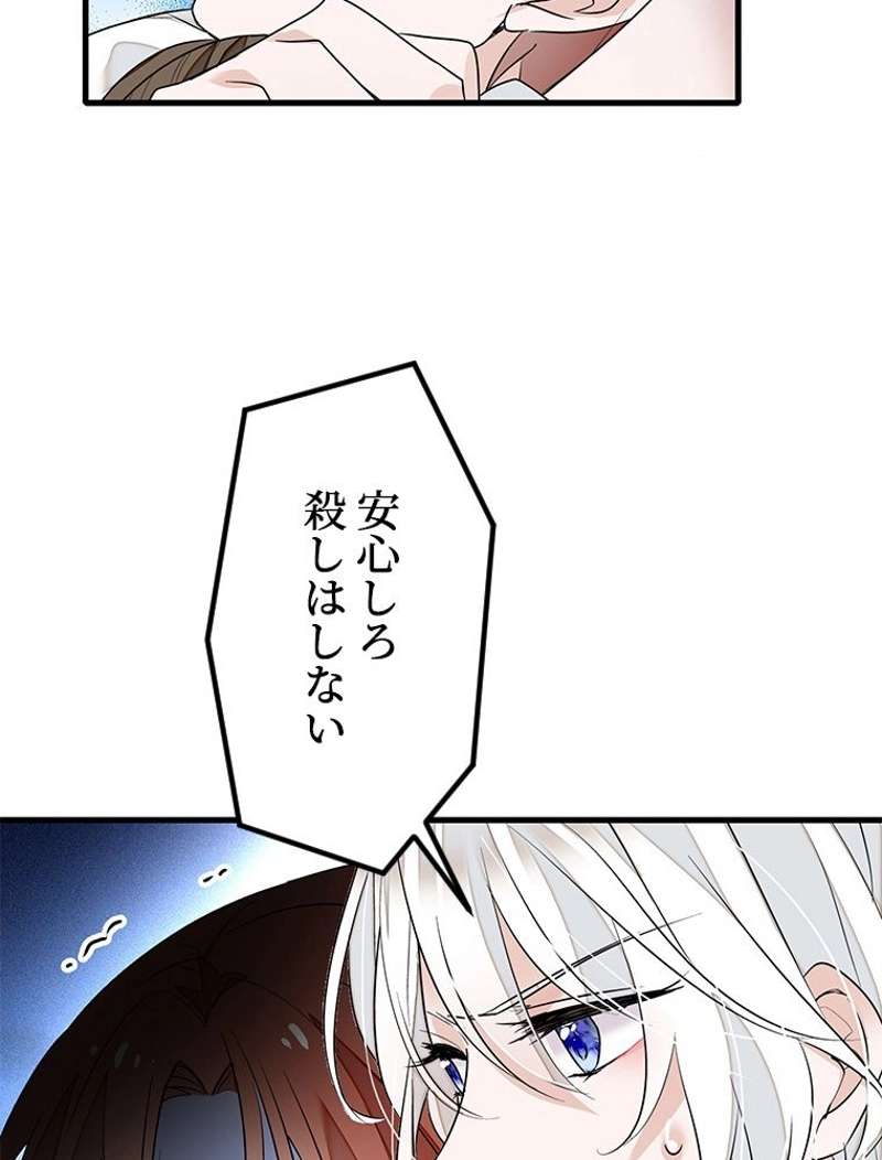 P65